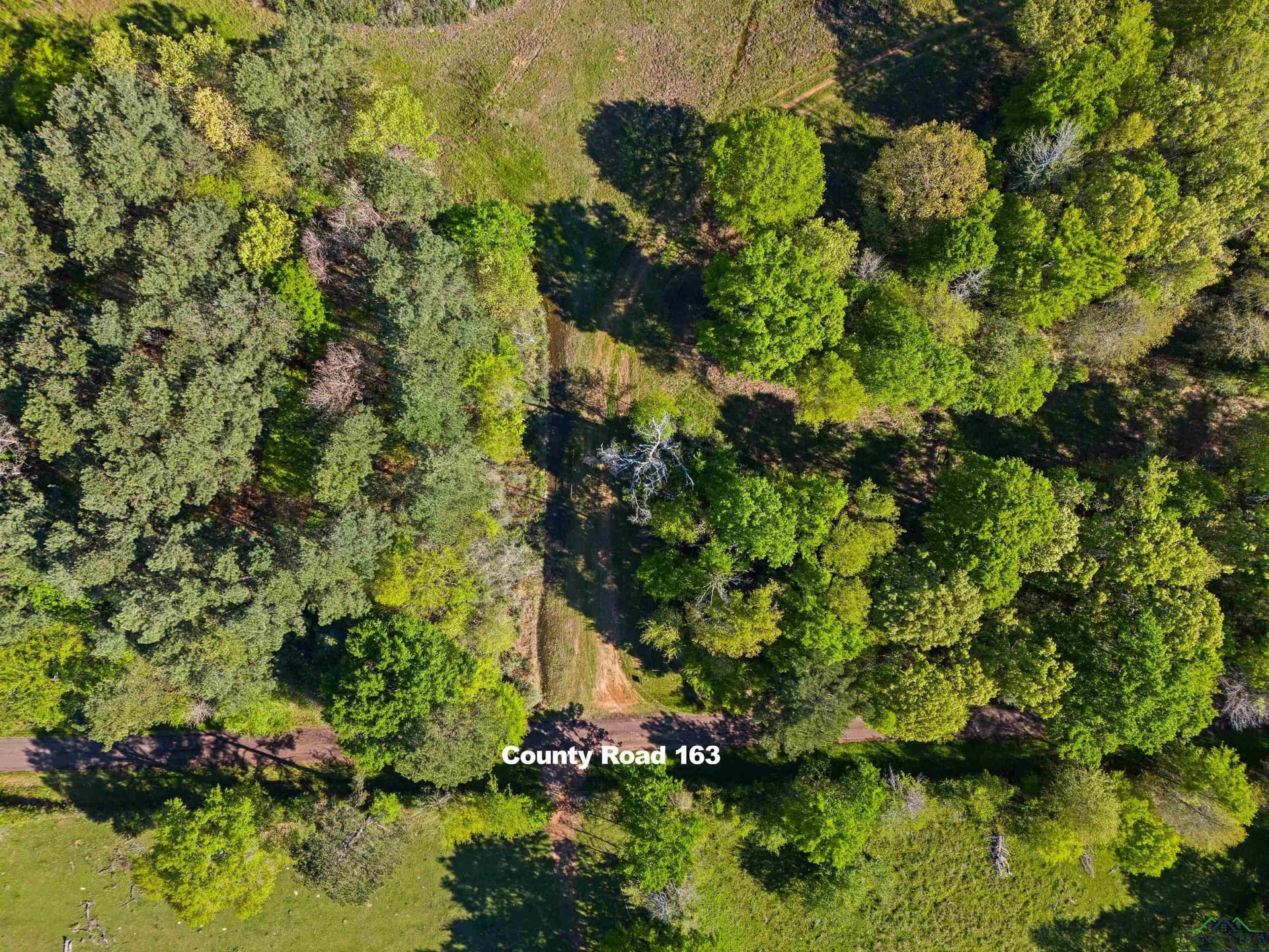 53.92 acres in Panola County - photo 20
