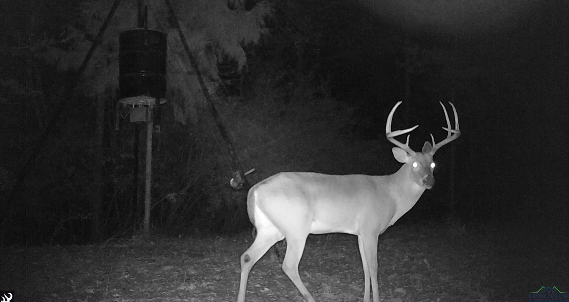 53.92 acres in Panola County - photo 12