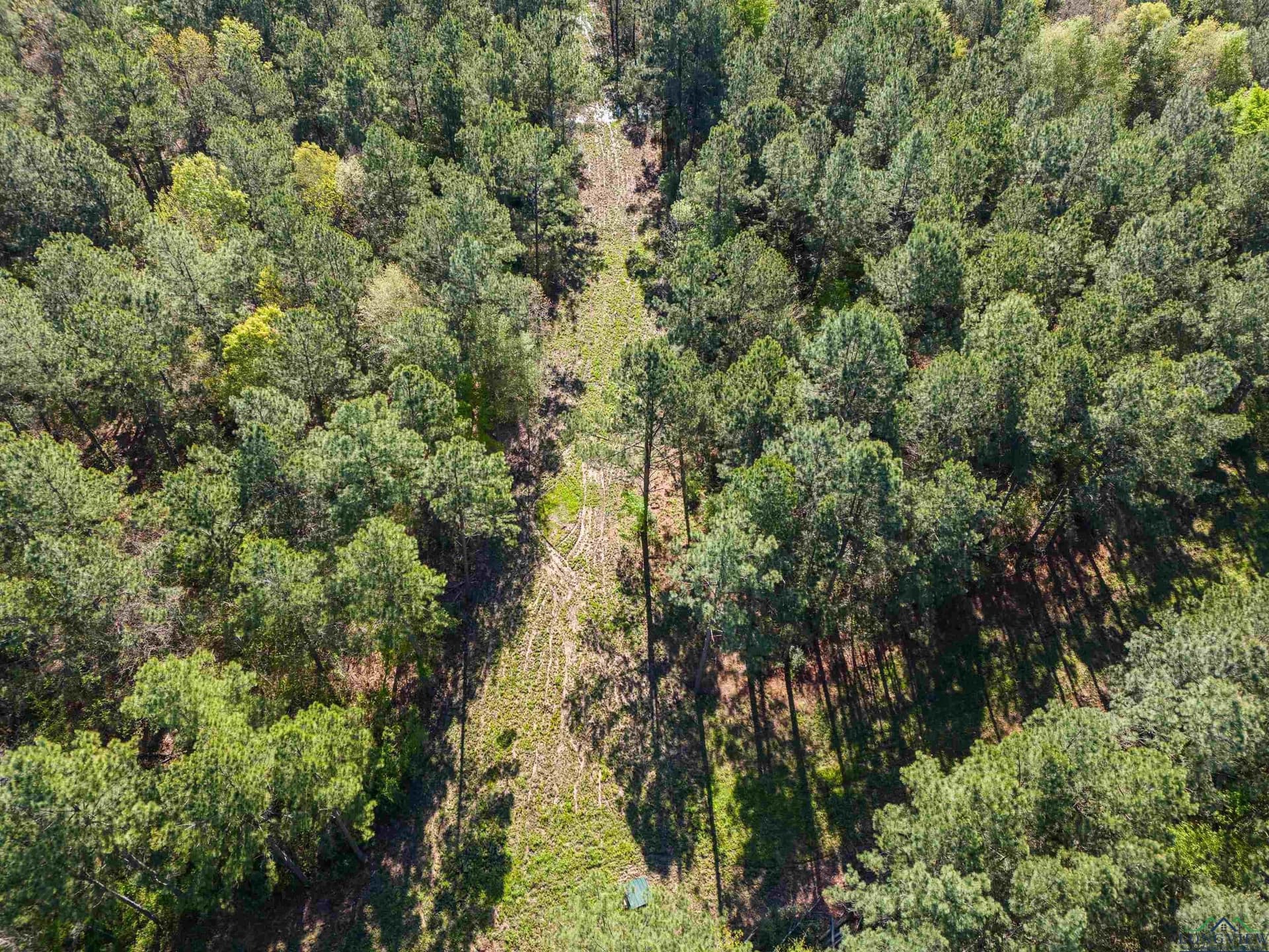 53.92 acres in Panola County - photo 24
