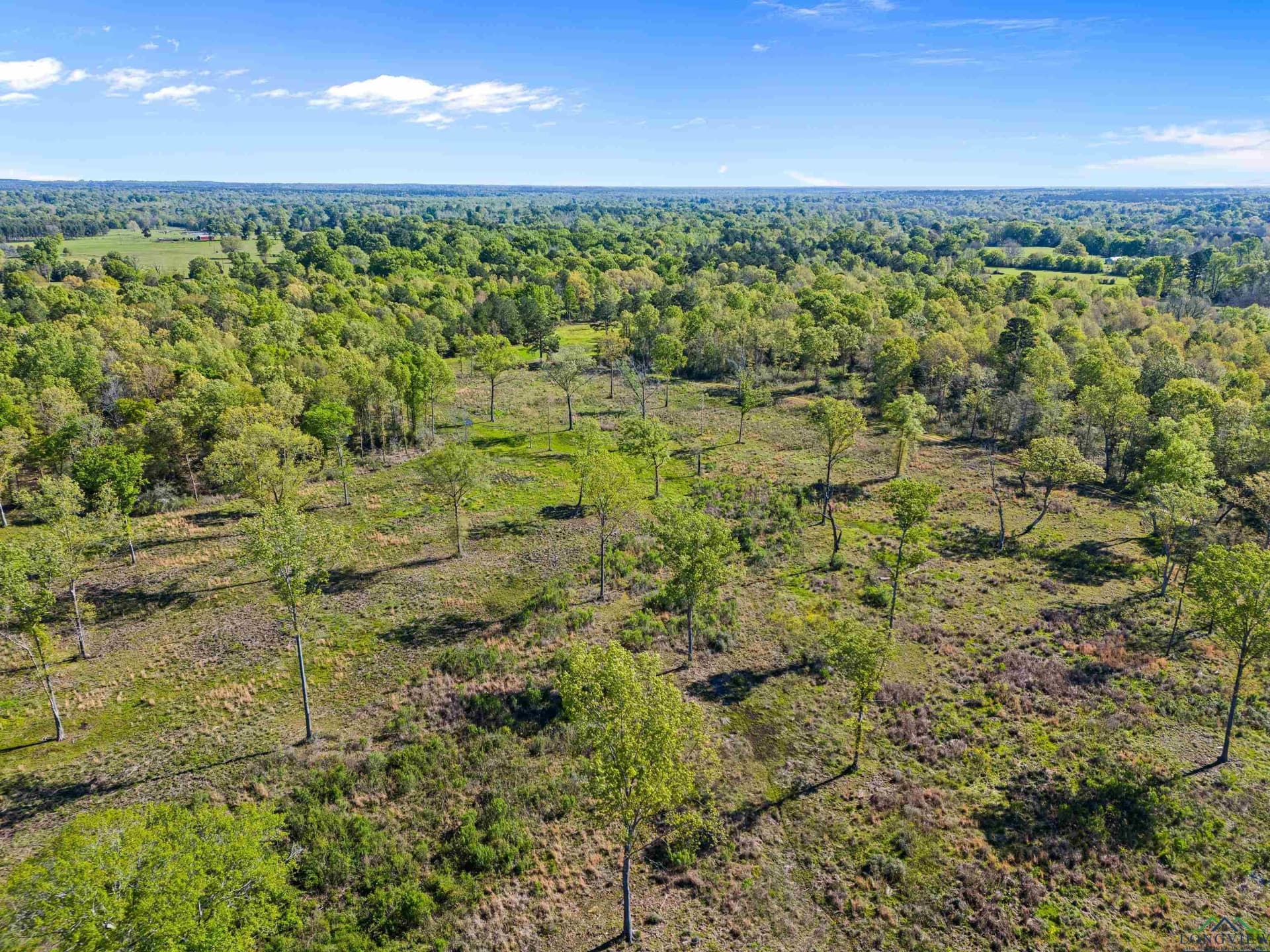 53.92 acres in Panola County - photo 8