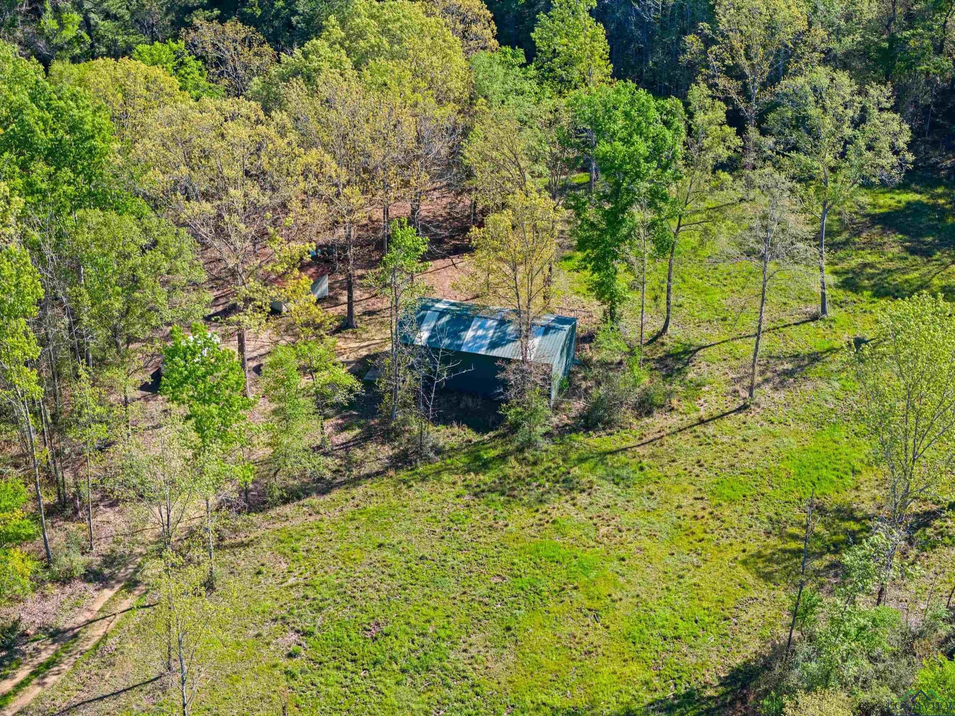 53.92 acres in Panola County - photo 17