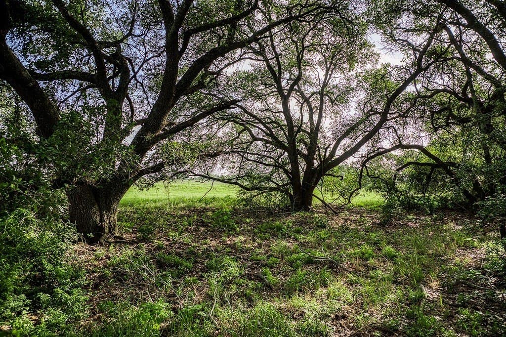 11.35 acres in Fayette County - photo 10