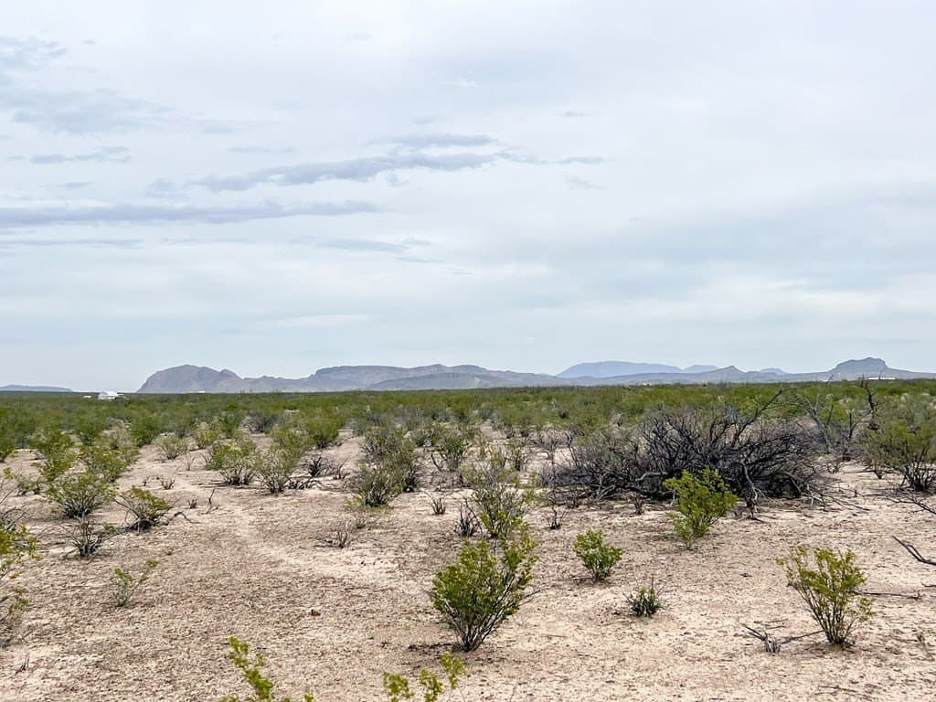 5 acres in Brewster County - photo 9