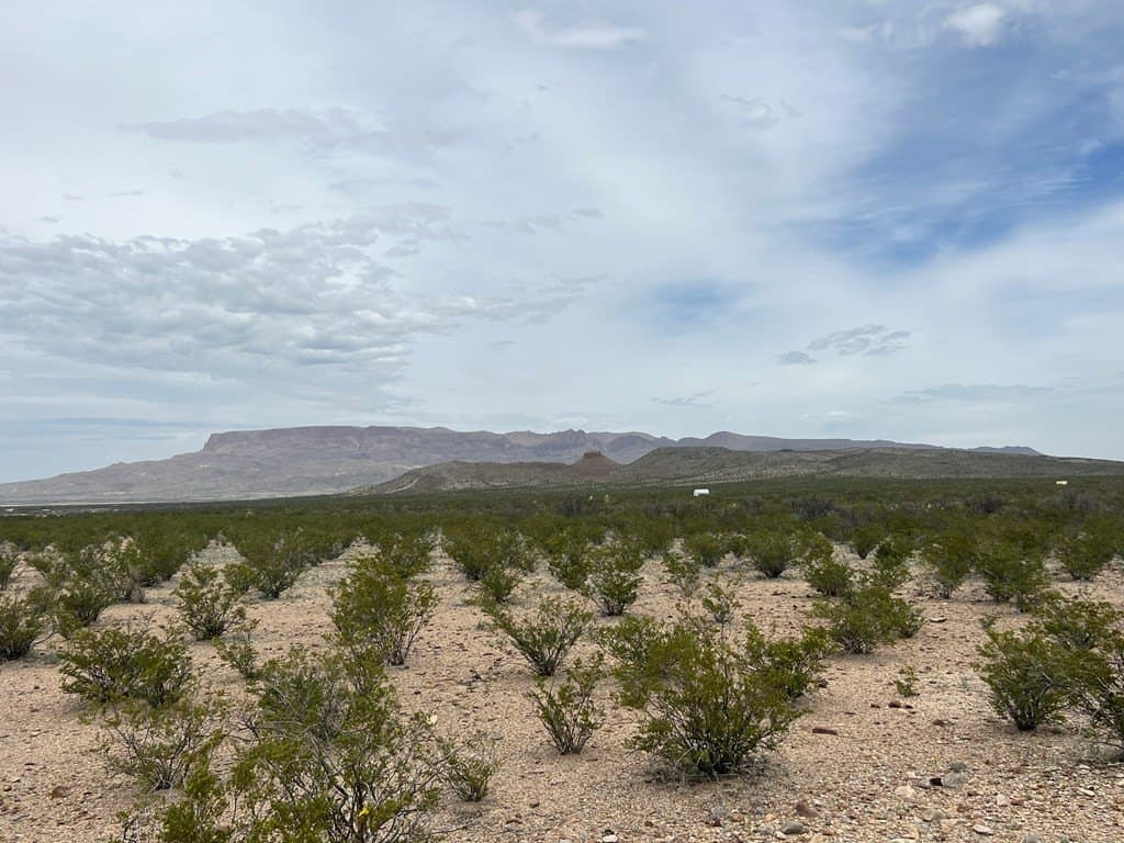 5 acres in Brewster County - photo 14