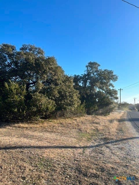 0.22 acres in Blanco County - photo 5