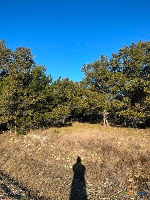 0.22 acres in Blanco County - photo 6