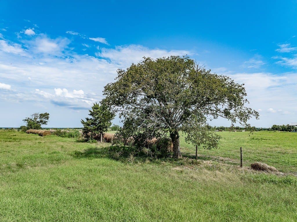 9.99 acres in Fayette County - photo 5