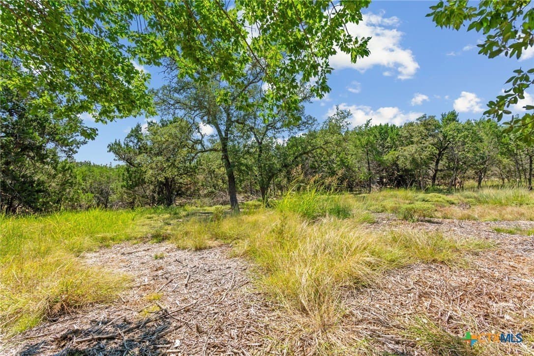 2.64 acres in Bell County - photo 5