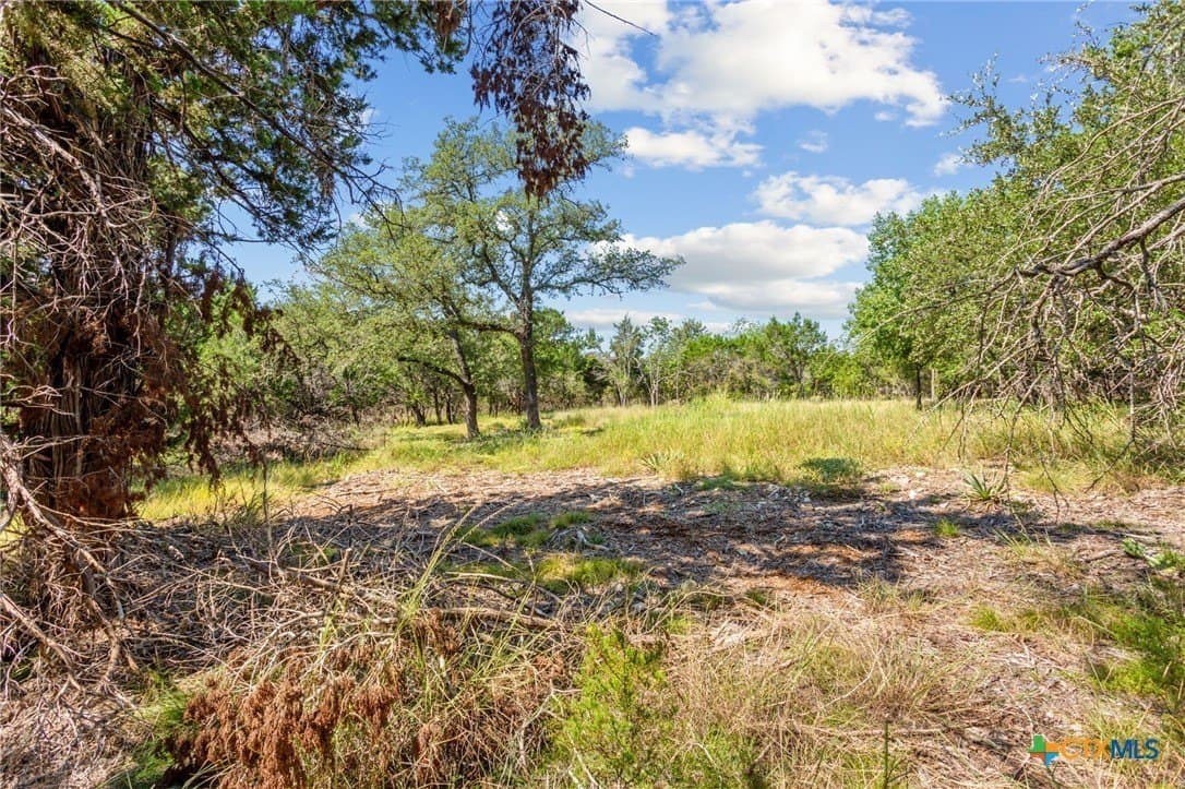 2.64 acres in Bell County - photo 6