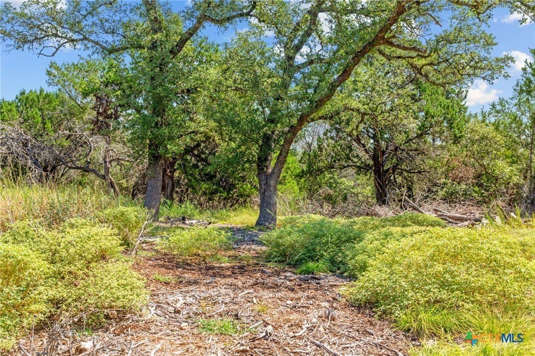 2.64 acres in Bell County - photo 8