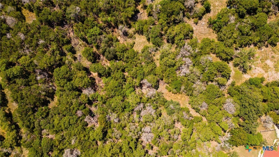2.64 acres in Bell County - photo 14