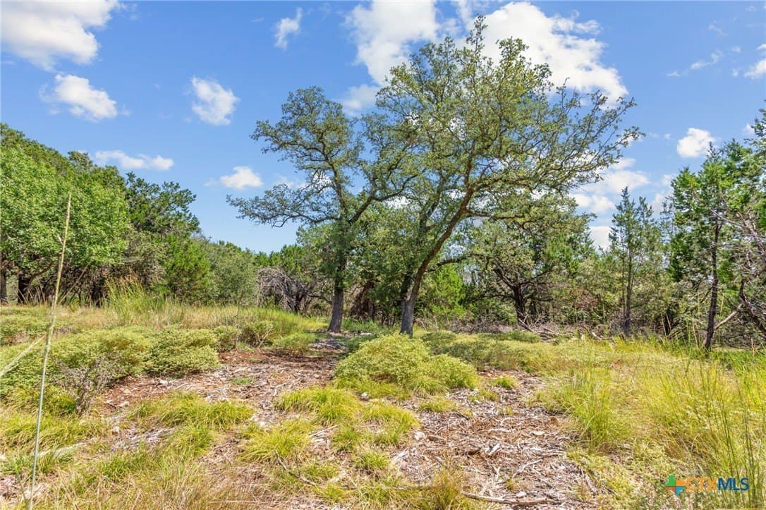2.64 acres in Bell County - photo 10