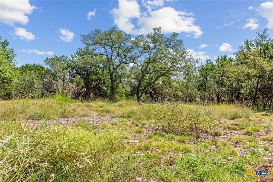 2.64 acres in Bell County - photo 11