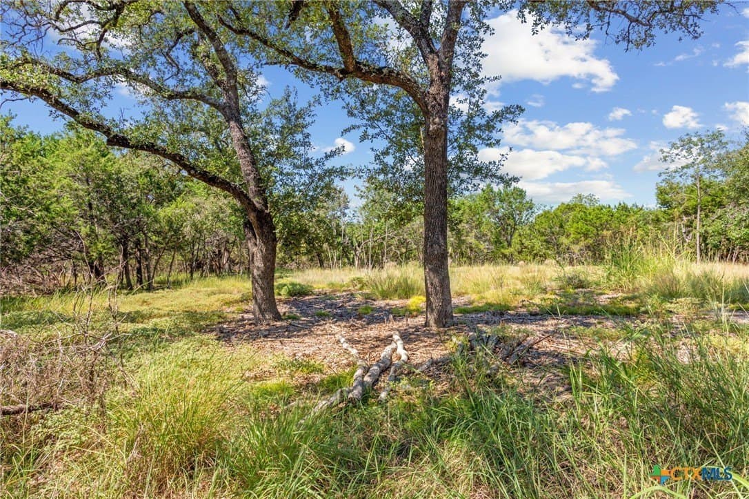 2.64 acres in Bell County - photo 7