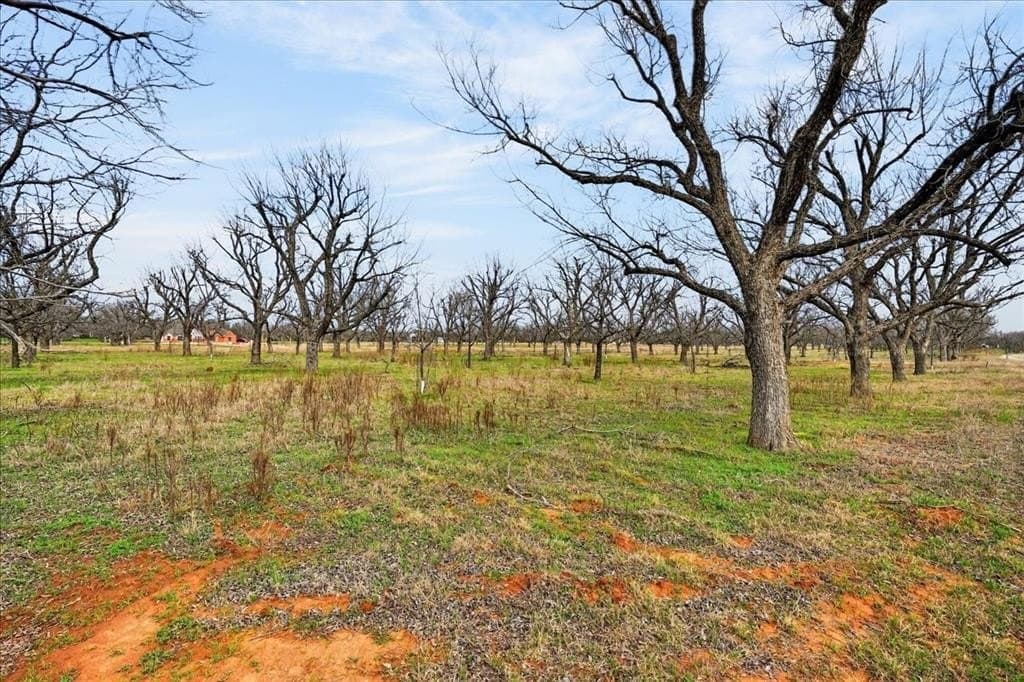 1.5 acres in Hood County - photo 15