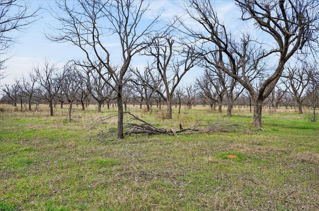 1.5 acres in Hood County - photo 13