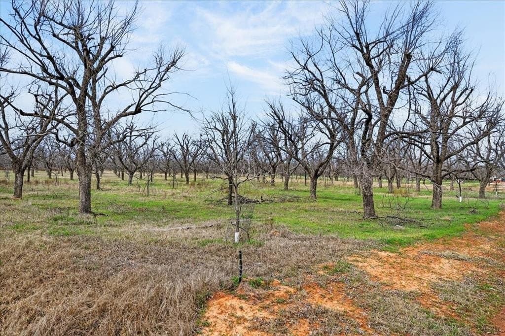 1.5 acres in Hood County - photo 12