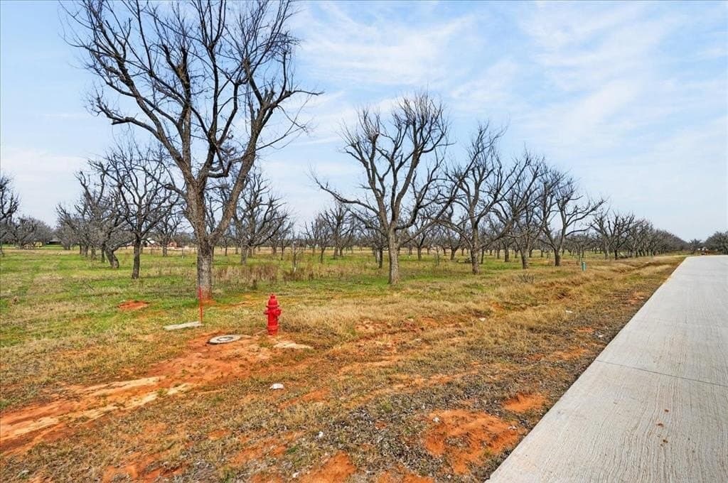 1.5 acres in Hood County - photo 14