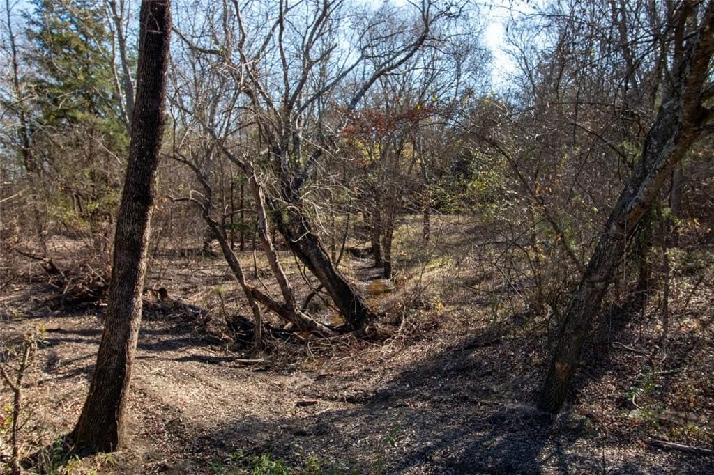 1.74 acres in Fannin County - photo 4