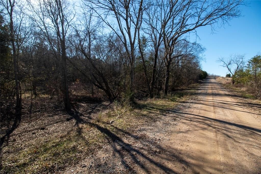 1.74 acres in Fannin County - photo 6