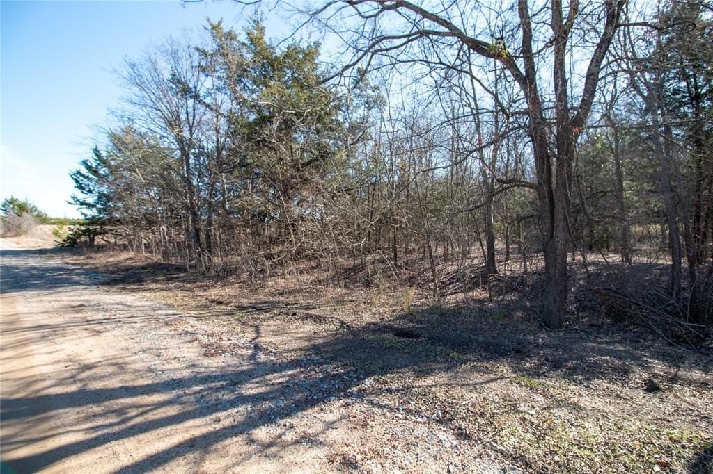 1.74 acres in Fannin County - photo 7