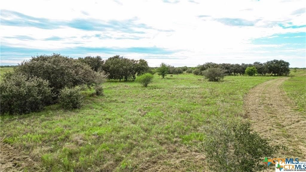182.55 acres in Victoria County - photo 3
