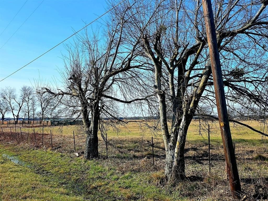 10.01 acres in Van Zandt County - photo 4