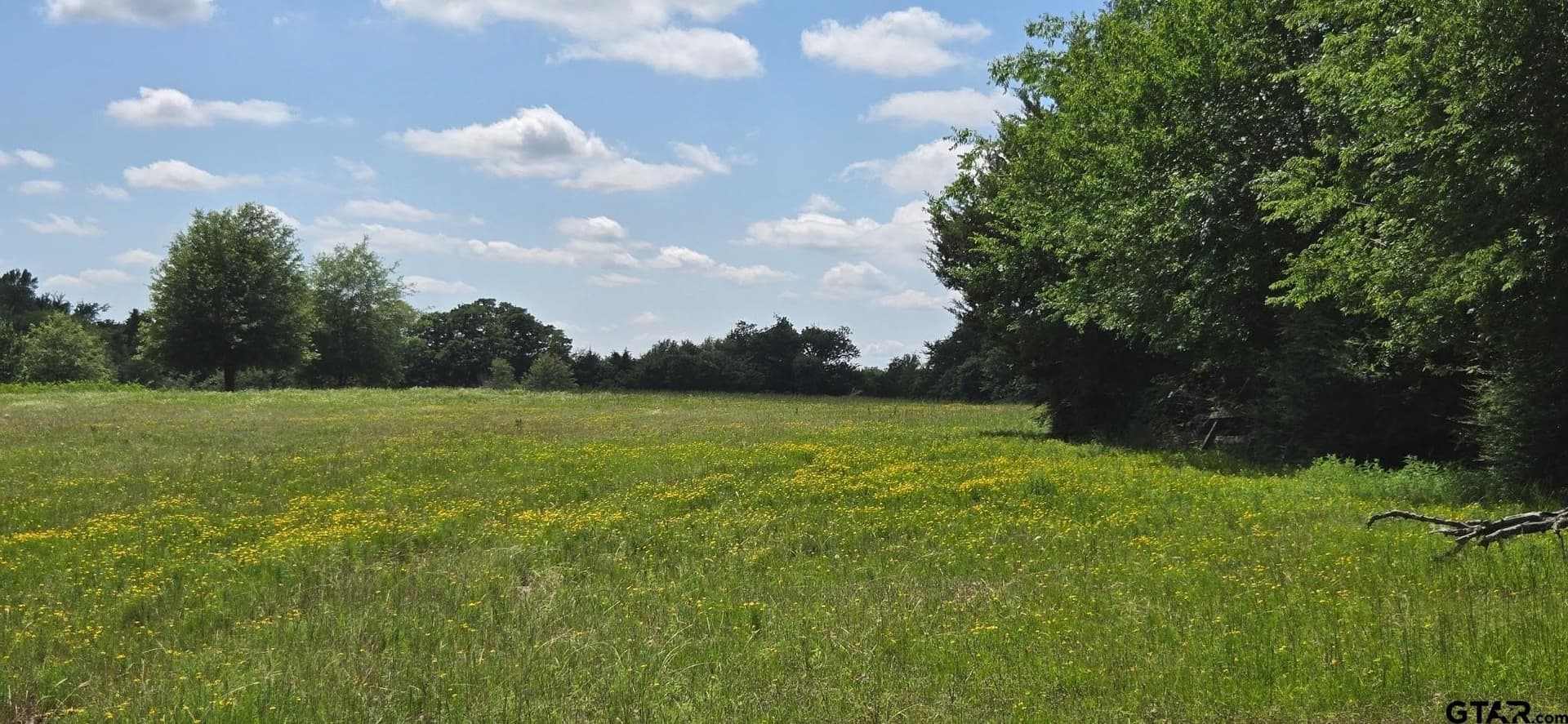 48.27 acres in Henderson County - photo 6