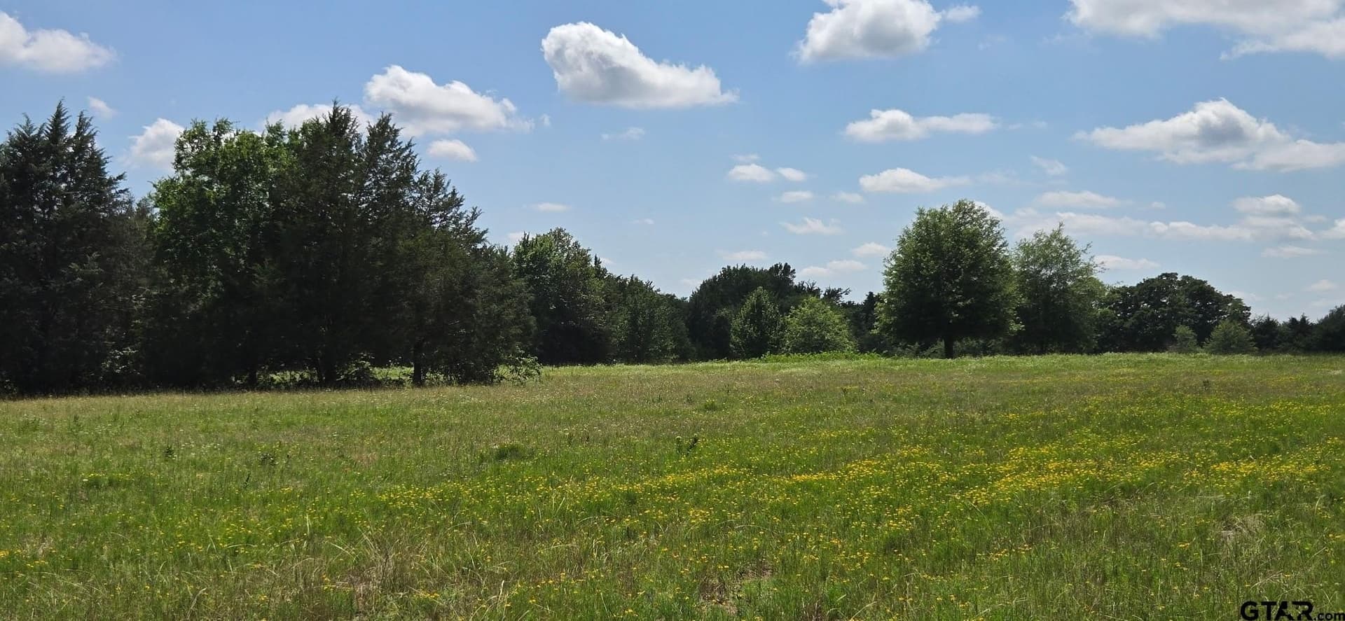 48.27 acres in Henderson County - photo 5