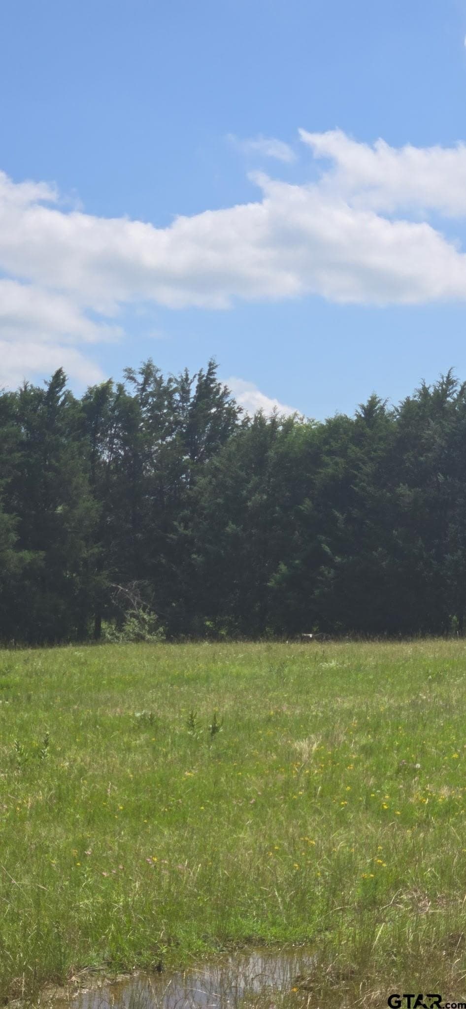 48.27 acres in Henderson County - photo 4