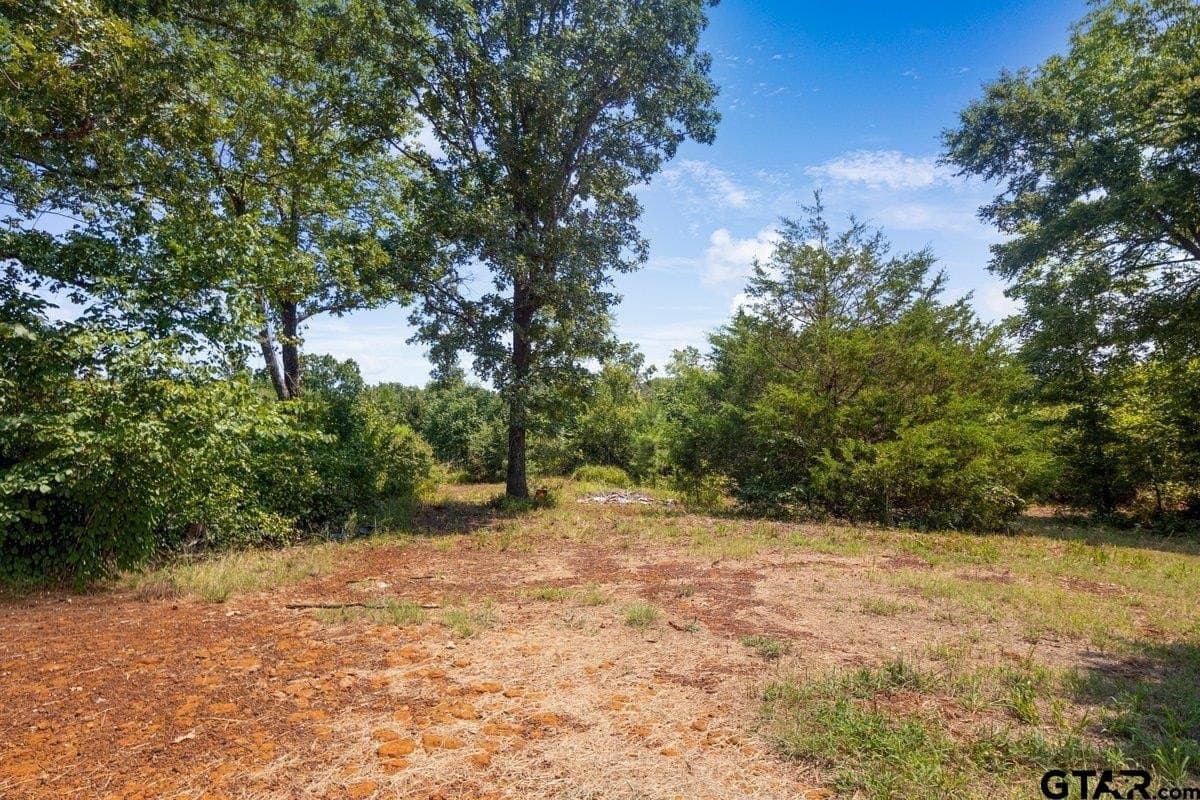 10 acres in Anderson County - photo 16