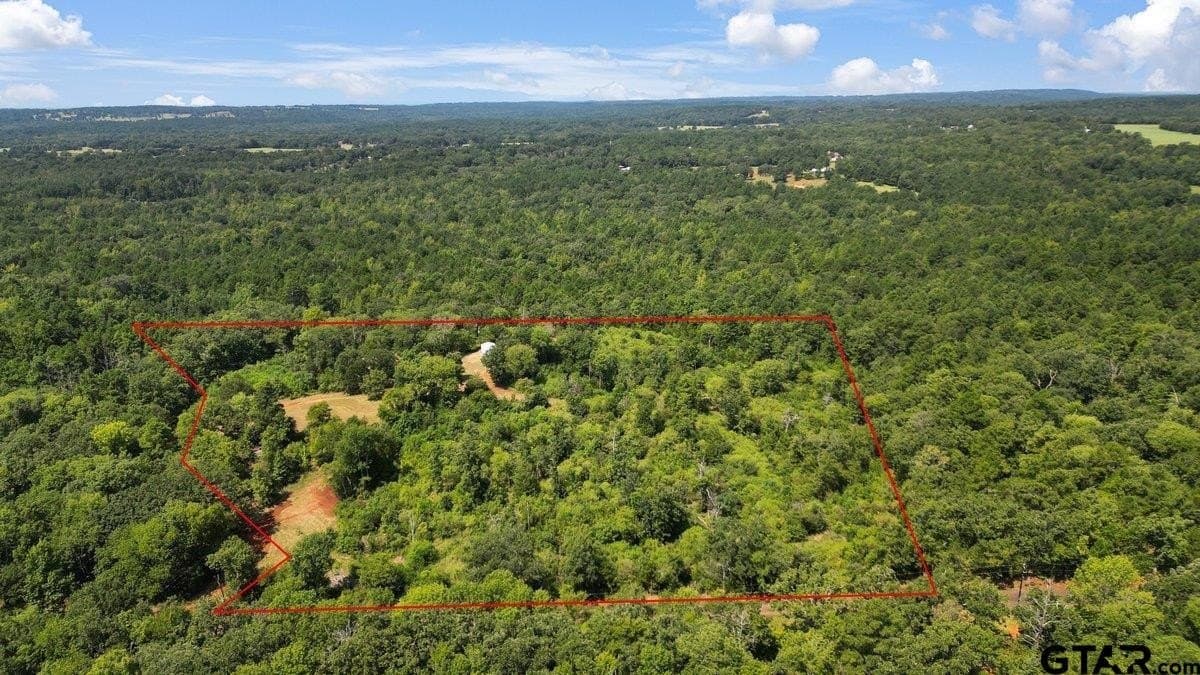 10 acres in Anderson County - photo 22