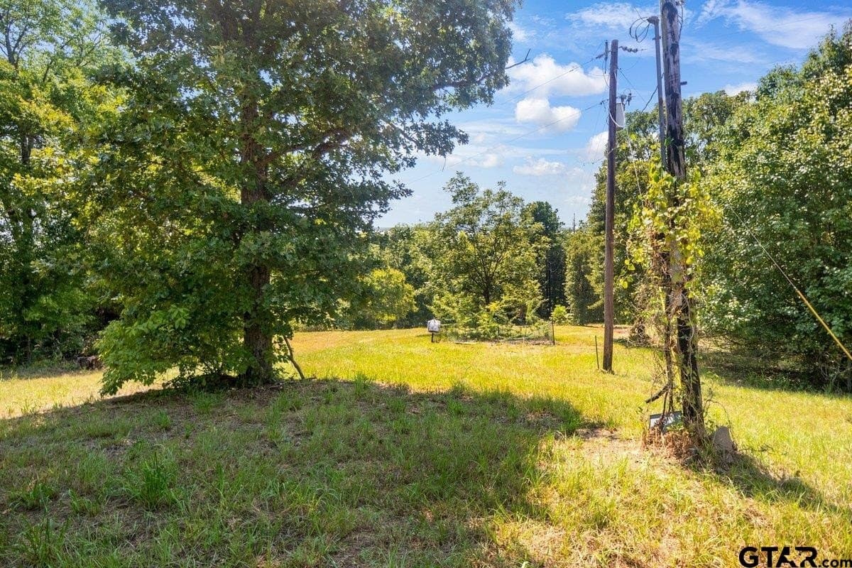 10 acres in Anderson County - photo 17