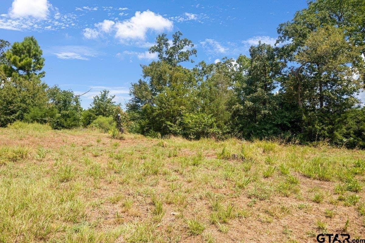 10 acres in Anderson County - photo 18