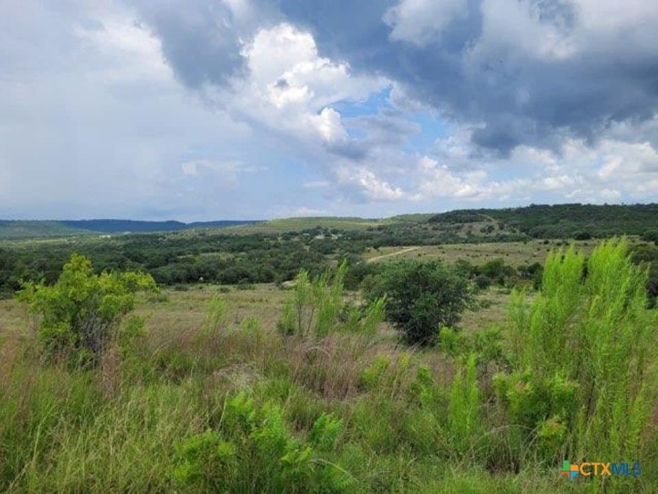 201.36 acres in Burnet County - photo 3