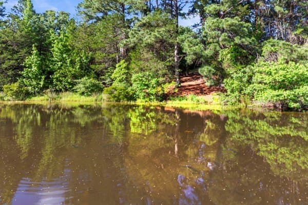 41.59 acres in Anderson County - photo 24