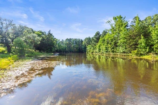 41.59 acres in Anderson County - photo 23