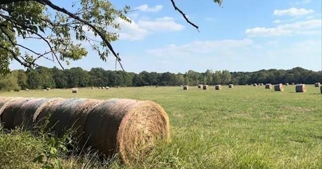 32.25 acres in Grayson County - photo 3