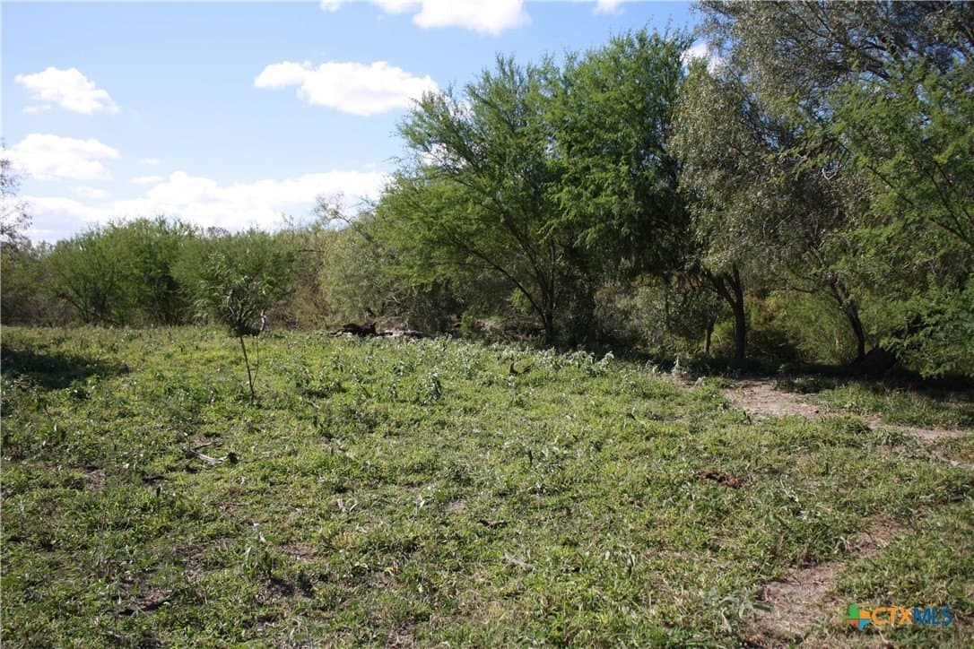 21 acres in San Patricio County - photo 4
