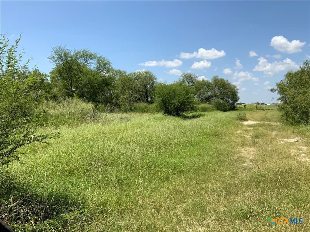 21 acres in San Patricio County - photo 12