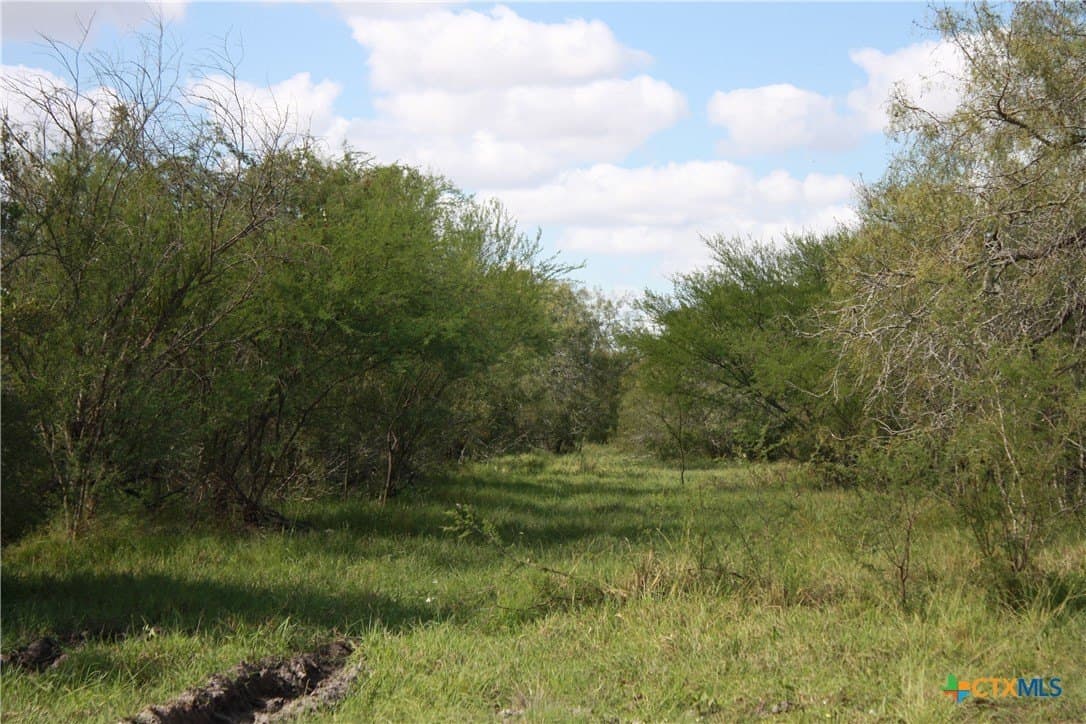 21 acres in San Patricio County - photo 7