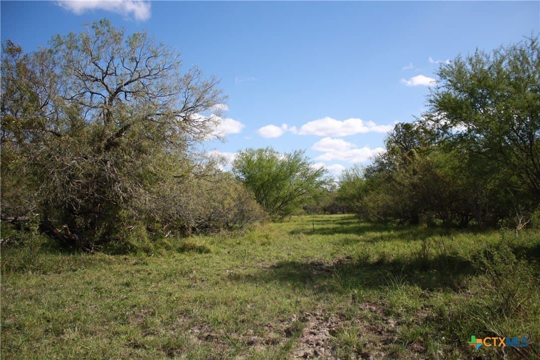21 acres in San Patricio County - photo 5