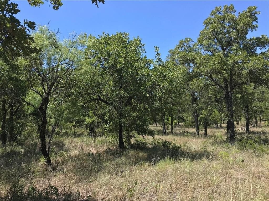 2.41 acres in Palo Pinto County - photo 6