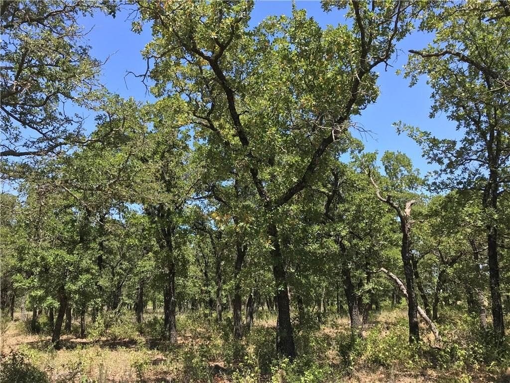 2.41 acres in Palo Pinto County - photo 8