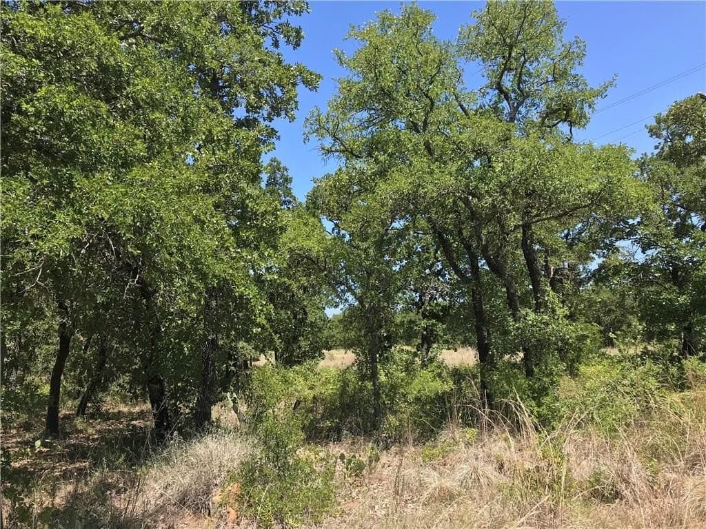 2.41 acres in Palo Pinto County - photo 7