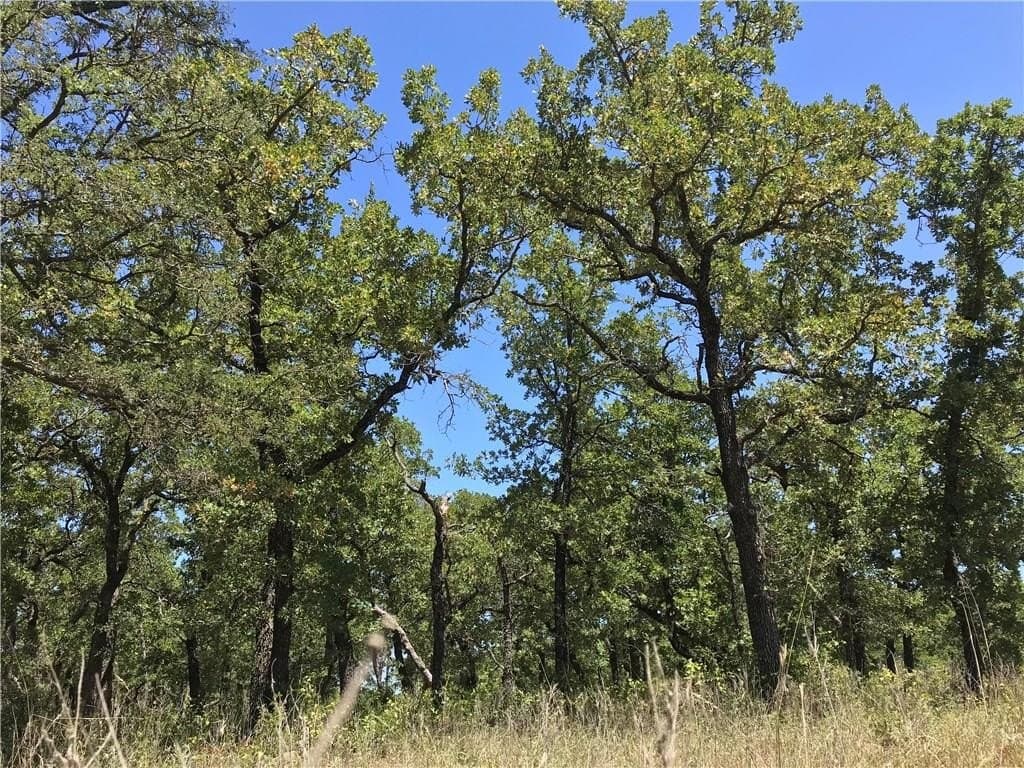 2.41 acres in Palo Pinto County - photo 9