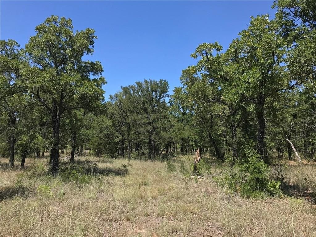 2.41 acres in Palo Pinto County - photo 5