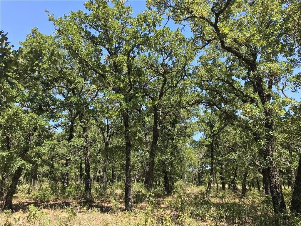 2.41 acres in Palo Pinto County - photo 10