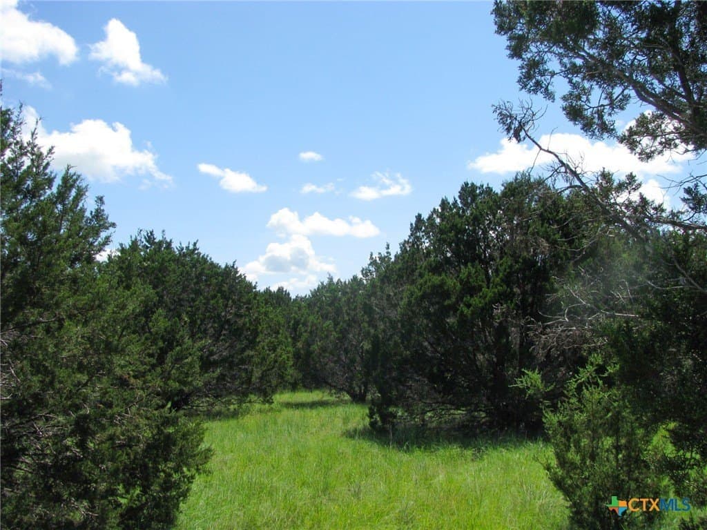 10.01 acres in Hamilton County - photo 11