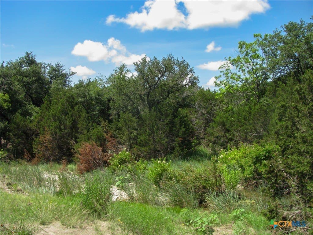 10.01 acres in Hamilton County - photo 14